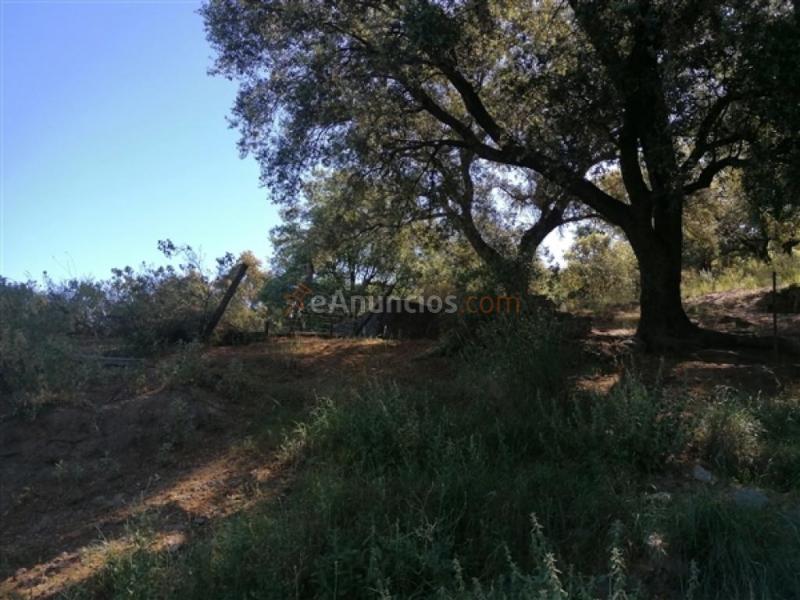 Casa de campo-Masía en Venta en Farajan Málaga