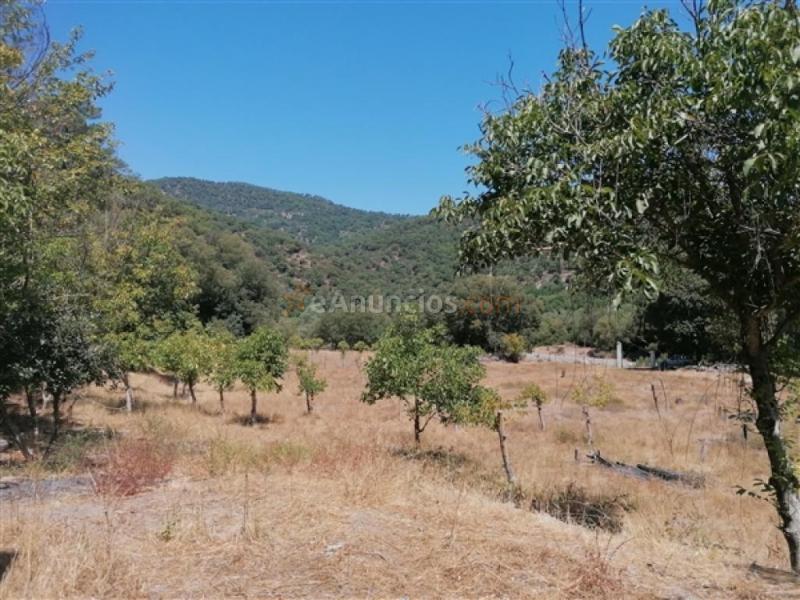 Suelo rústico en Venta en Genalguacil Málaga