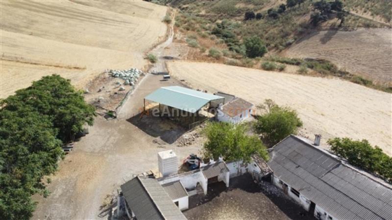 Edificio singular en Venta en Ronda Málaga