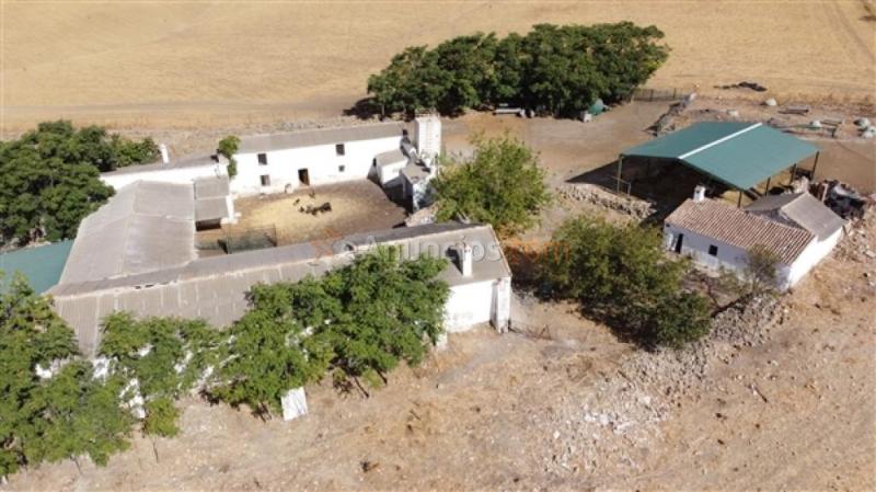 Edificio singular en Venta en Ronda Málaga