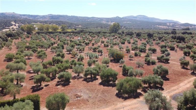 Casa de campo-Masía en Venta en Ronda Málaga