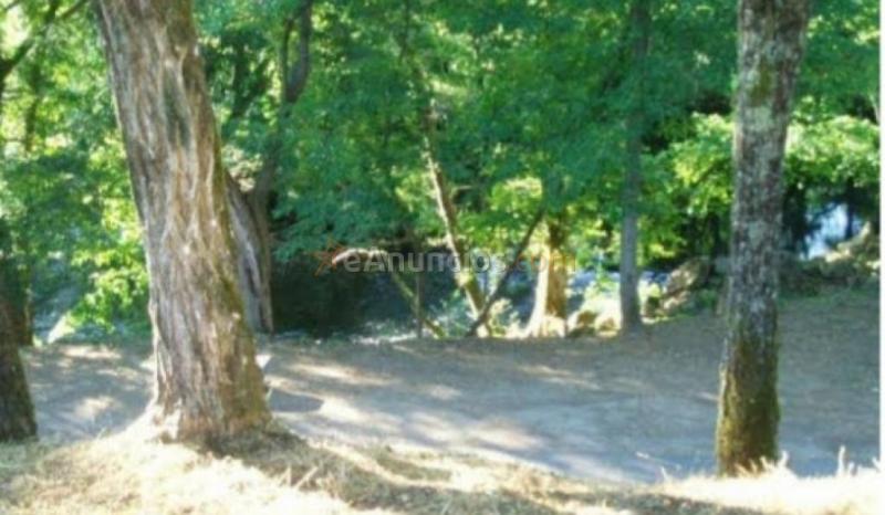 Casa-Chalet en Venta en Mondariz (Balneario) Pontevedra