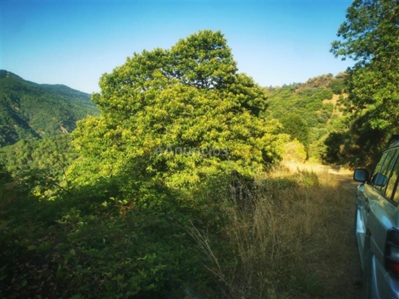 Parcela en Venta en Jubrique Málaga