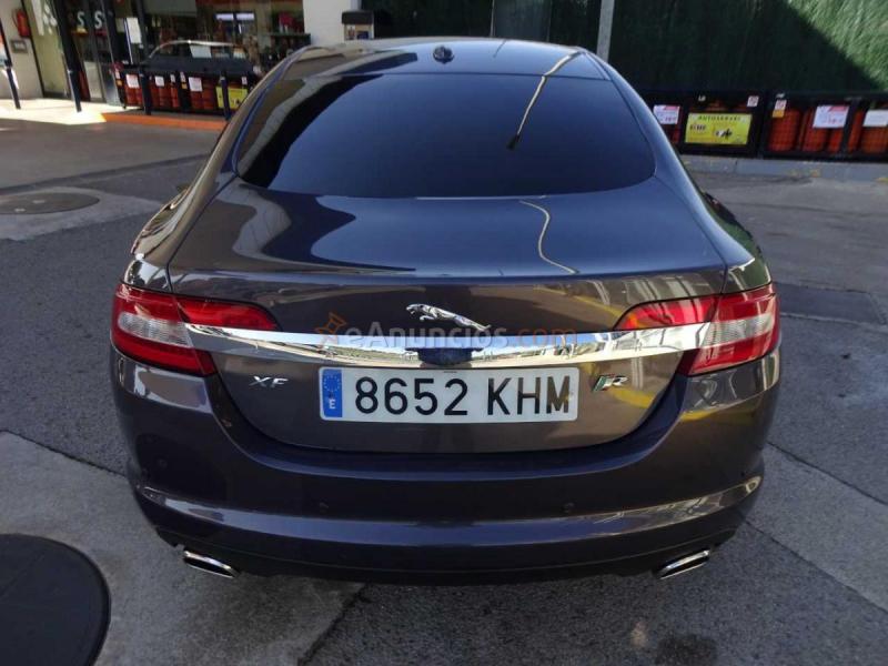 Jaguar XF 2.7 - V6 LIMITED 207CV AUTOMATICO 