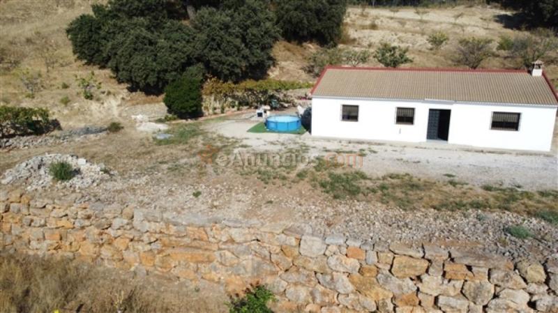 Suelo rústico en Venta en Ronda Málaga