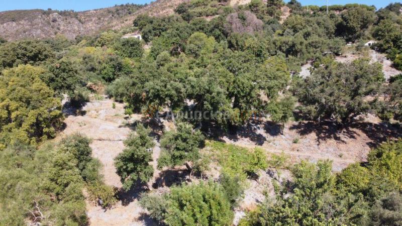 Suelo rústico en Venta en Benarraba Málaga