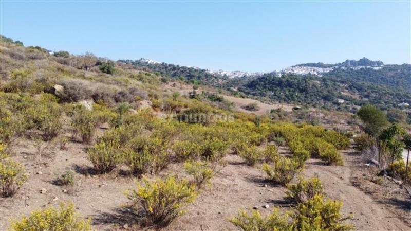 Suelo rústico en Venta en Gaucin Málaga