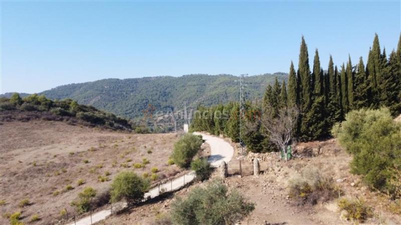 Suelo rústico en Venta en Gaucin Málaga