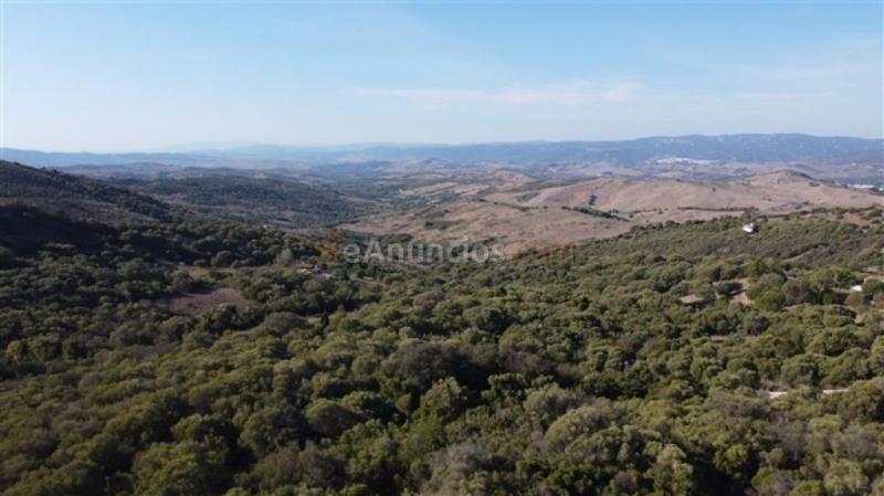 Parcela en Venta en Gaucín Málaga