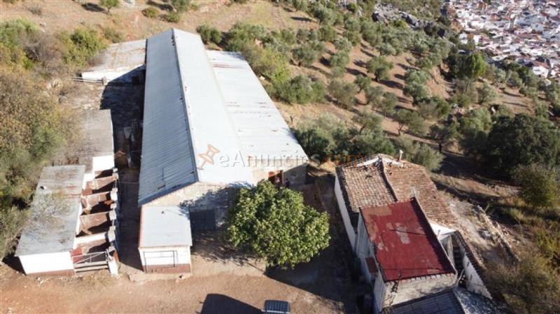 Casa de campo-Masía en Venta en Benaojan Málaga