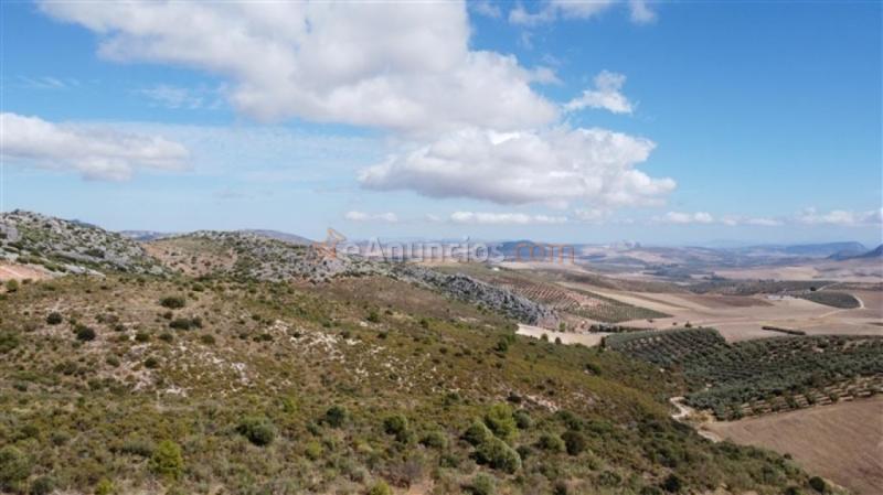 Parcela en Venta en Cuevas Del Becerro Málaga