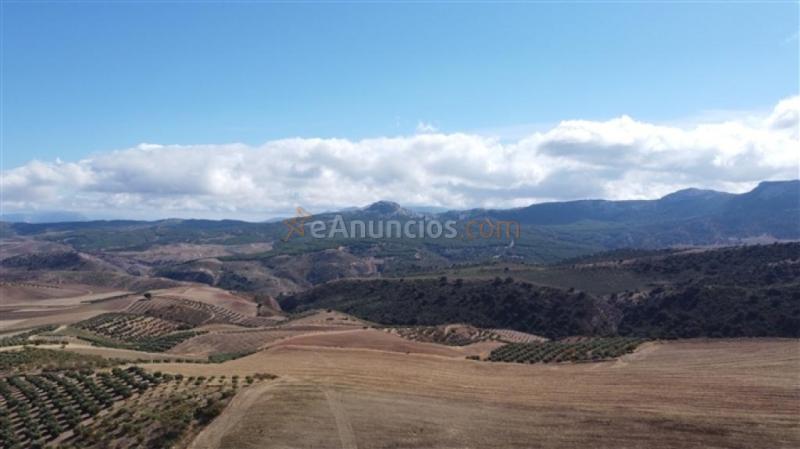 Parcela en Venta en Cuevas Del Becerro Málaga