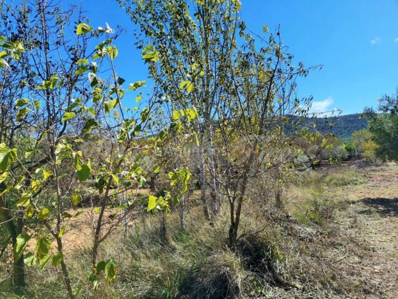 Casa de campo-Masía en Venta en Biar Alicante