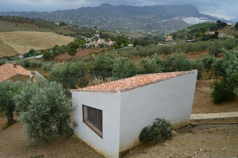 Casa de campo-Masía en Venta en Alora Málaga