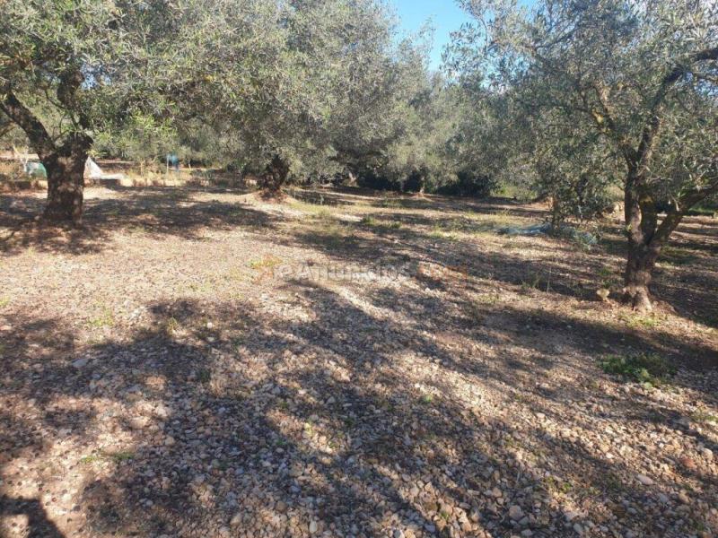 Terreno en Codonyol - Alcanar