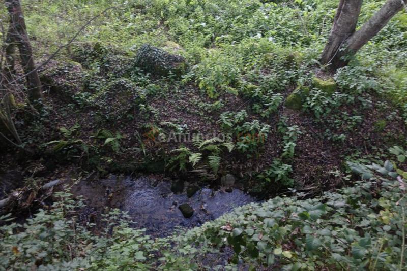 Local comercial en Alquiler en Vigo Pontevedra