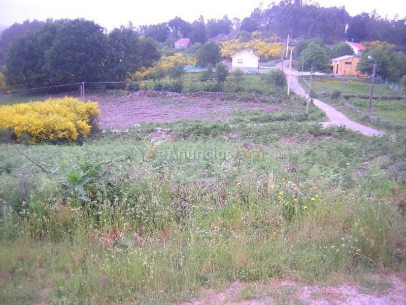 Suelo urbanizable en Venta en Fornelos De Montes (San Lourenzo) Pontevedra