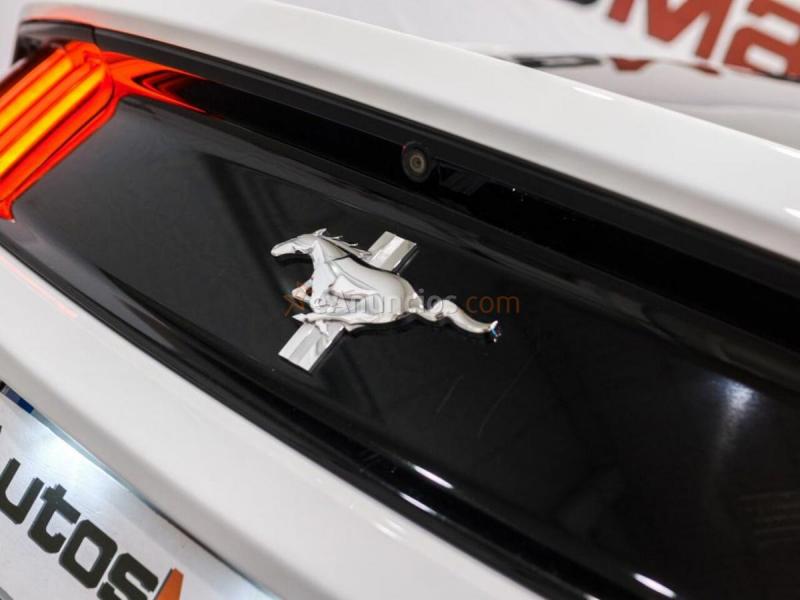 Ford Mustang mustang 3.7 6v 304 cv