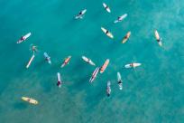 Surf Camp - Plataforma Online