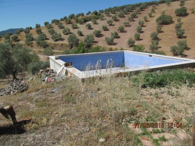 Casa de campo-Masía en Venta en Burgo, El Málaga