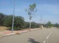 Parcela en Montesión