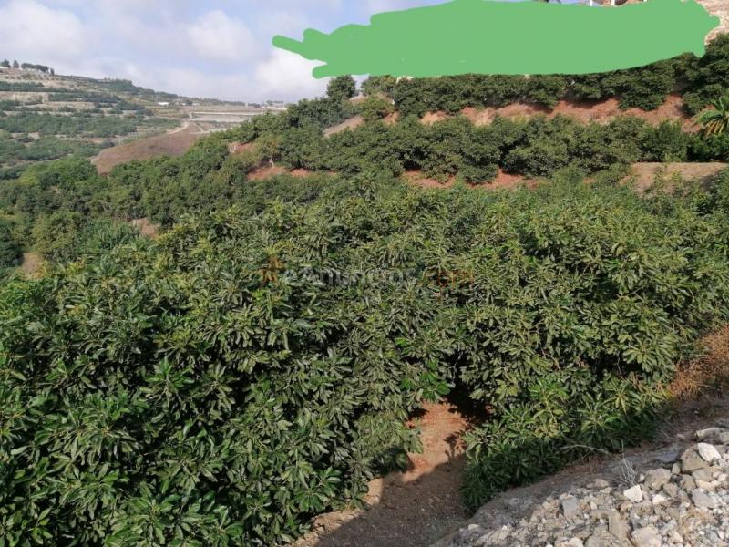 Suelo rústico en Venta en Motril Granada