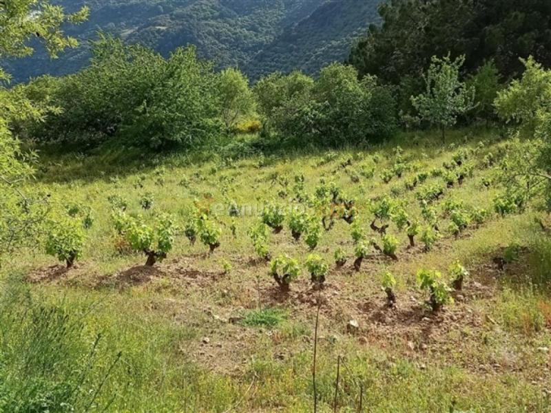 Parcela en Venta en Benadalid Málaga