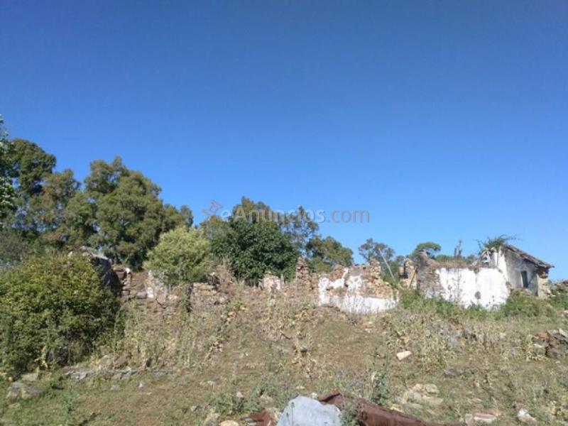 Parcela en Venta en Cortes De La Frontera Málaga