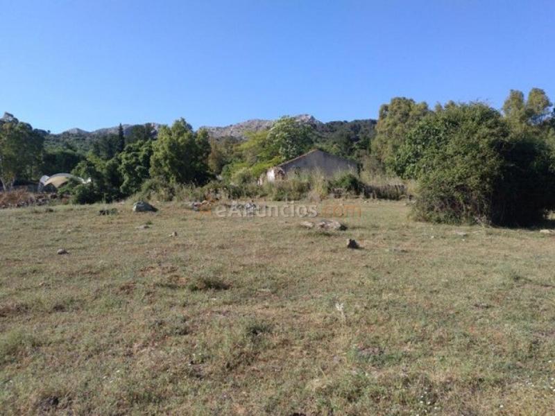 Parcela en Venta en Cortes De La Frontera Málaga