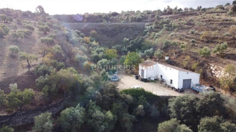 Parcela en Venta en Ronda Málaga