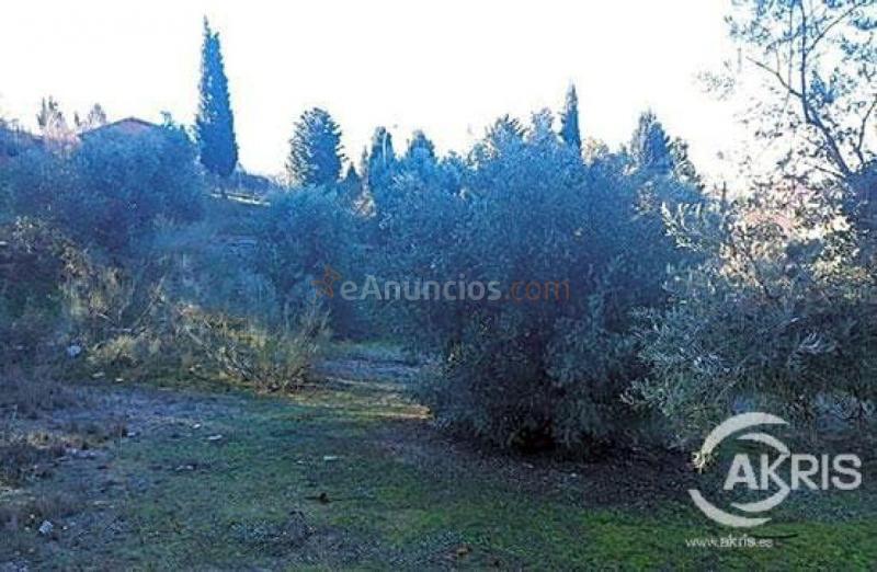 Terreno Urbano en el Sector del Beato, Olías del Rey