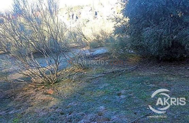 Terreno Urbano en el Sector del Beato, Olías del Rey