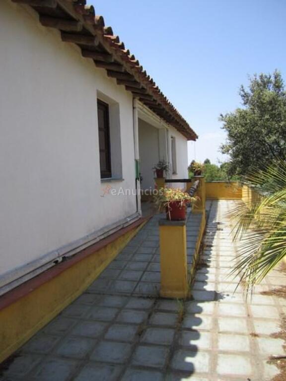 COMPLEJO RURAL EN FINCA LA PICOTA, MAGNIFICAS VISTAS